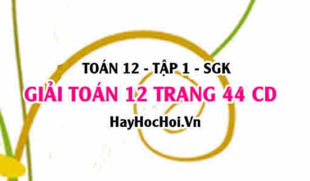 Giải Toán 12 trang 44 tập 1 Cánh Diều